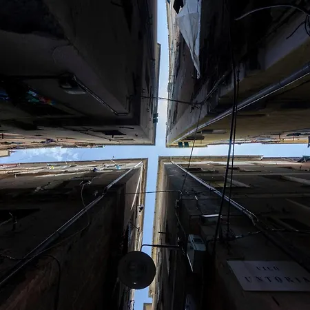 Castelli's Campo 7 ג'נובה