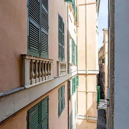 Castelli's Campo 7 *