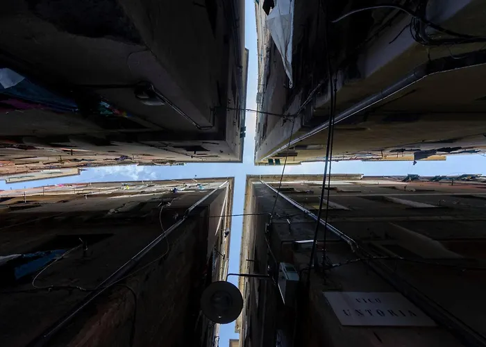 Castelli's Campo 7 Janov