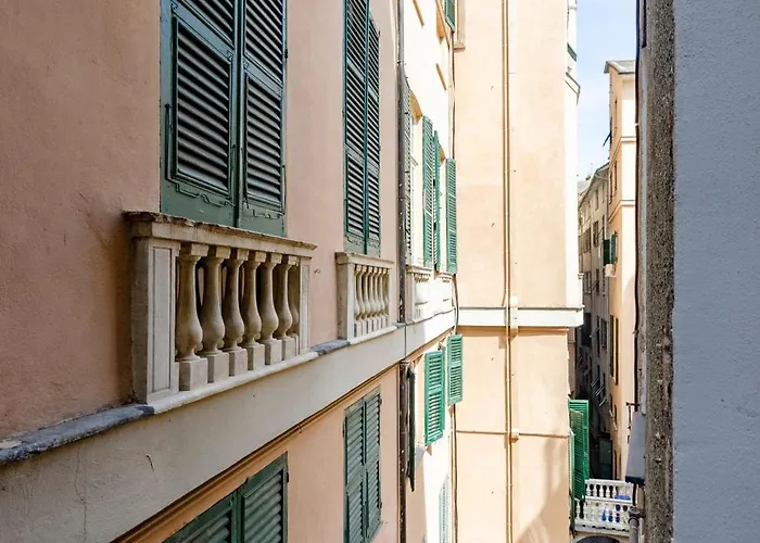 Castelli's Campo 7 *